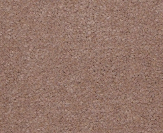 Picture of Philadelphia Commercial by Shaw - Emphatic II 36 Clay Bisque