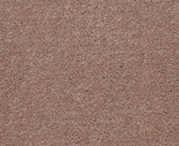 Picture of Philadelphia Commercial by Shaw - Emphatic II 36 Clay Bisque