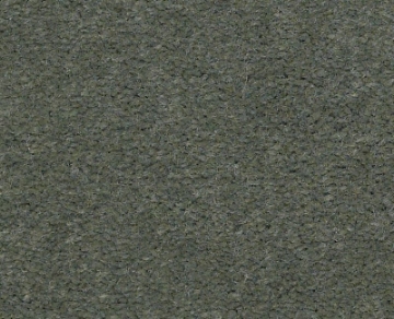 Picture of Philadelphia Commercial by Shaw - Emphatic II 36 Dried Sage