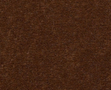 Picture of Philadelphia Commercial by Shaw - Emphatic II 36 Cinnamon Sugar