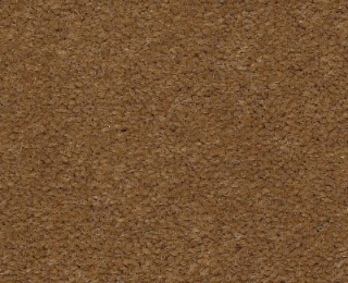 Picture of Philadelphia Commercial by Shaw - Emphatic II 36 Cajun