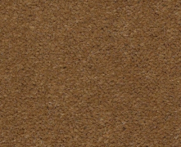 Picture of Philadelphia Commercial by Shaw - Emphatic II 36 Cajun