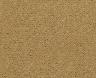 Picture of Philadelphia Commercial by Shaw - Emphatic II 36 Honeywheat