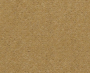 Picture of Philadelphia Commercial by Shaw - Emphatic II 36 Honeywheat