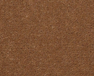 Picture of Philadelphia Commercial by Shaw - Emphatic II 36 Camelback