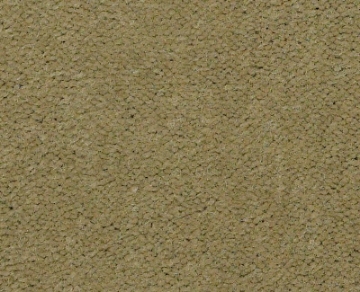 Picture of Philadelphia Commercial by Shaw - Emphatic II 36 Tea Green