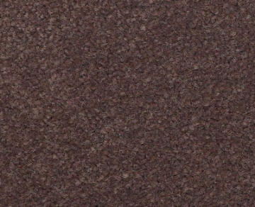 Picture of Philadelphia Commercial by Shaw - Emphatic II 36 Raisin