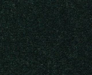 Picture of Philadelphia Commercial by Shaw - Emphatic II 36 Mountain Pine