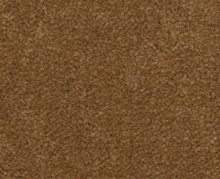 Picture of Philadelphia Commercial by Shaw - Emphatic II 36 Burnished