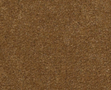 Picture of Philadelphia Commercial by Shaw - Emphatic II 36 Burnished