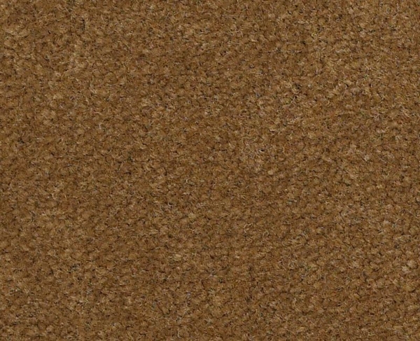 Picture of Philadelphia Commercial by Shaw - Emphatic II 36 Burnished