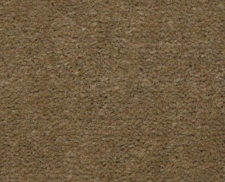 Picture of Philadelphia Commercial by Shaw - Emphatic II 36 Olive Twist