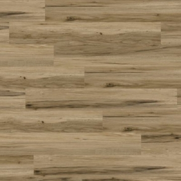 Picture of Create Flooring - Glory Distinction