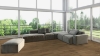 Picture of Create Flooring - Majestic Views Aspens