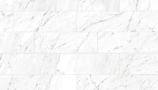 Picture of Chesapeake Flooring - Lexington 8x48 Carrara White Polished