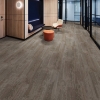 Picture of Next Floor - Element Mocha