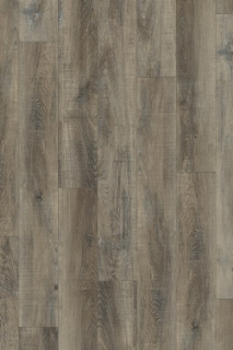 Picture of Happy Feet Intl. - All Star II Ashwood