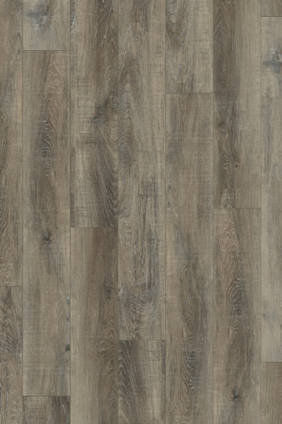 Picture of Happy Feet Intl. - All Star II Ashwood