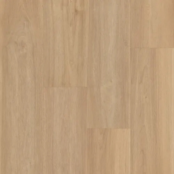 Picture of Legendary Floors - Brookhaven Darby