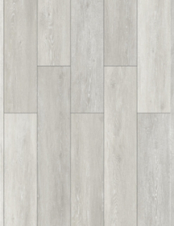 Picture of Gluck GmbH Corp. - Elevate Pro Rhine Haya