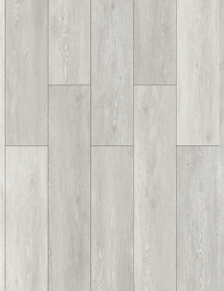 Picture of Gluck GmbH Corp. - Elevate Pro Rhine Haya