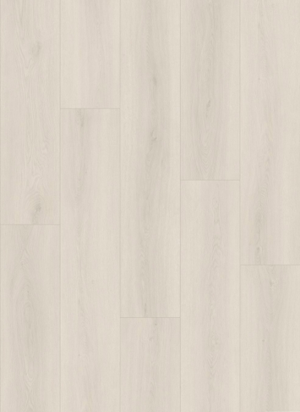 Picture of Gluck GmbH Corp. - Natural Pro White Oak