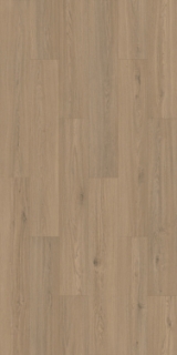 Picture of Gluck GmbH Corp. - Forte Carbon+ Warm Dunes