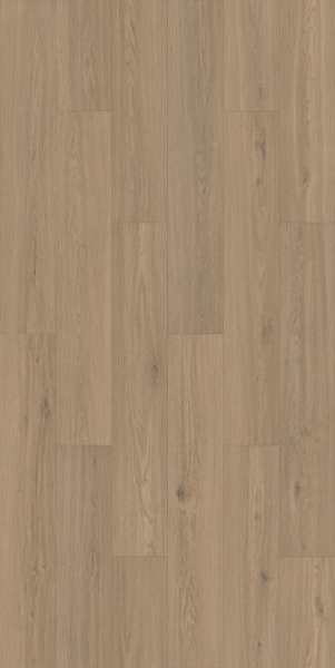 Picture of Gluck GmbH Corp. - Forte Carbon+ Warm Dunes