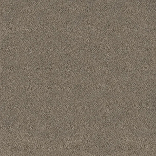 Picture of Shaw Floors - TruSplendor Truffle