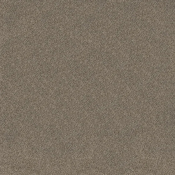 Picture of Shaw Floors - TruSplendor Truffle