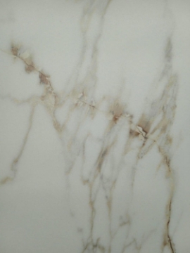Picture of Alfagres - Carrara Hueso Gold 12 x 24 Carrara Hueso Gold