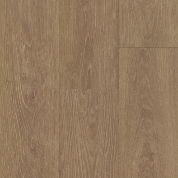 Picture of Trucor - Tymbr XL Leon