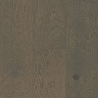 Picture of Echelon Floors - Cafe Latte