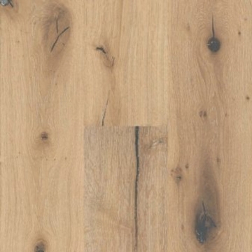 Picture of Echelon Floors - Coast Sand Bar