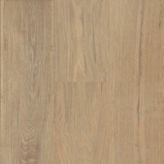 Picture of Echelon Floors - Coast Coquina