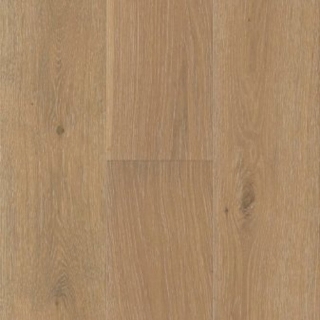 Picture of Echelon Floors - Coast Driftwood