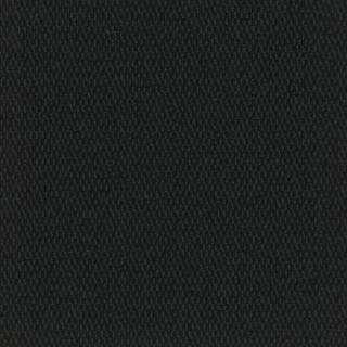 Picture of Pentz - Entrance Walk-Off Onyx