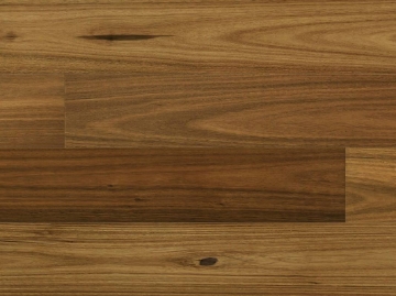 Picture of Norwood Hill - Carriage Regal