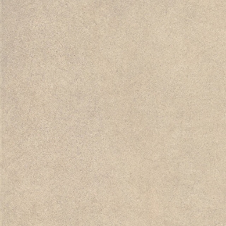 Picture of Chesapeake Flooring - Infield 2.0 12 x 12 Sand Matte