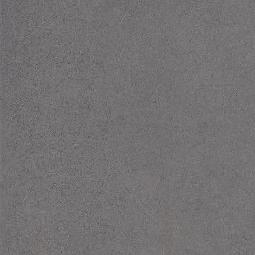 Picture of Chesapeake Flooring - Infield 2.0 24 x 24 Titanium Matte