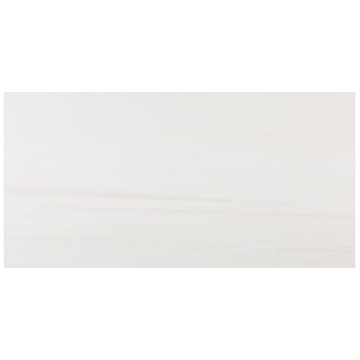 Picture of SOHO Studio Corp - Marmo Dolomite 24 x 48 Cream