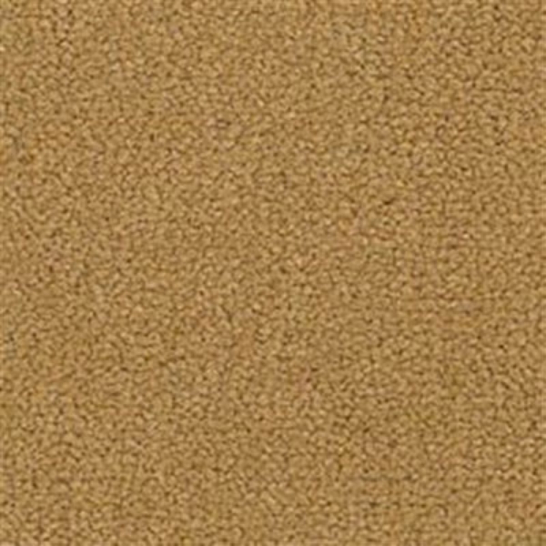 Picture of Mannington Commercial - Belvedere V Beveled Liston