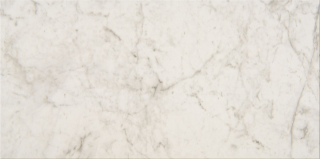 Picture of Chesapeake Flooring - Pine Ridge 12 x 24 Altissimo Polish