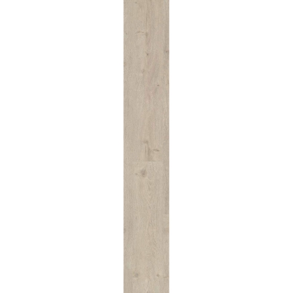 Picture of Ribadao - Stravaganza - AC5 Amalfi