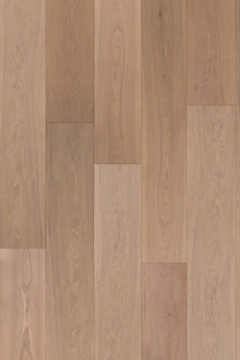 Picture of Ribadao - Rio 8.5 Sena