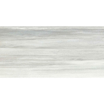 Picture of Roca - Lithology 12 x 24 Astoria Gray
