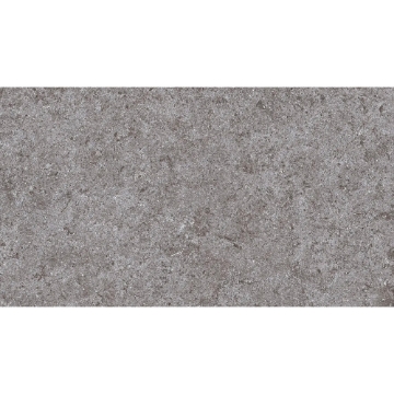 Picture of Roca - Lithology 12 x 24 Basalt Gray