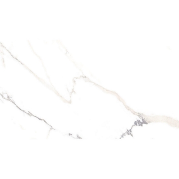 Picture of Roca - Lithology 12 x 24 Polaris White