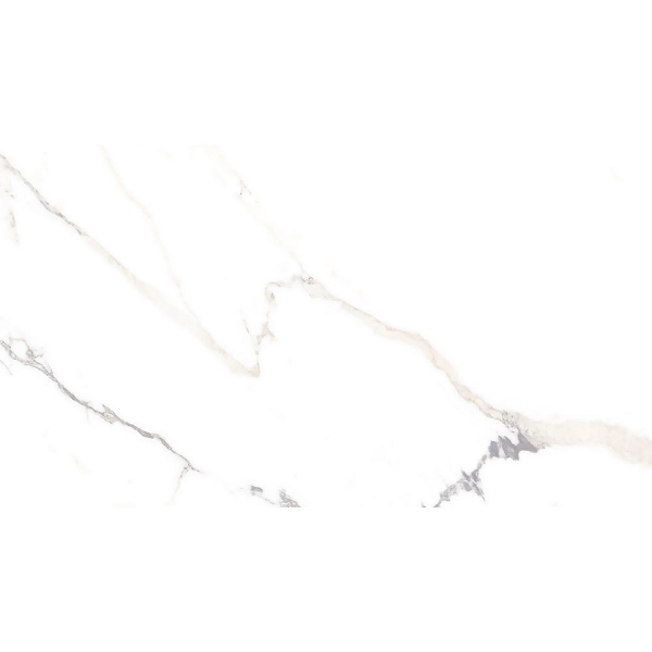 Picture of Roca - Lithology 12 x 24 Polaris White