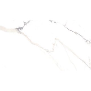 Picture of Roca - Lithology 24 x 48 Polaris White